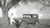 NAN_NEG_VARIOUS_img_043053_thumb.gif