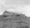 roth_namib_img_035229_thumb.gif