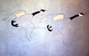 NAN_SLI_SCHOEDDER_img_042144_thumb.gif