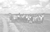 ONR_L-1052-48_30060_img_000060_thumb.gif