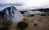 NAN_SLI_SCHOEDDER_img_042106_thumb.gif