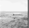 roth_namib_img_035230_thumb.gif