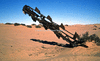 NAN_SLI_SCHOEDDER_img_042187_thumb.gif