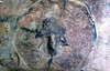 NAN_SLI_RNG_img_039058_thumb.gif