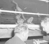 ONR_RO-1051a-54_img_034365_thumb.gif