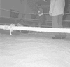 ONR_RO-1051a-54_img_034375_thumb.gif