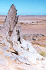 NAN_SLI_SCHOEDDER_img_042108_thumb.gif