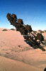 NAN_SLI_SCHOEDDER_img_042188_thumb.gif