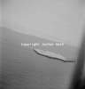 roth_air_swak_31263_img_001263_thumb.gif