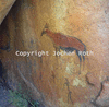 roth_brandberg_img_035240_thumb.gif