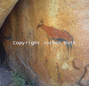 roth_brandberg_img_035241_thumb.gif