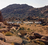 roth_brandberg_img_035242_thumb.gif