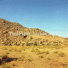 roth_brandberg_img_035244_thumb.gif