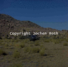 roth_brandberg_img_035245_thumb.gif