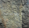 roth_brandberg_img_035246_thumb.gif