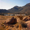 roth_brandberg_img_035247_thumb.gif