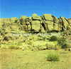 roth_brandberg_img_035248_thumb.gif