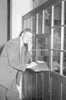 ONR_NEG_ADMI_img_036597_thumb.gif