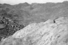 roth_brandberg_img_035440_thumb.gif