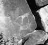 roth_brandberg_img_035541_thumb.gif