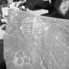 roth_brandberg_img_035542_thumb.gif