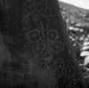 roth_brandberg_img_035543_thumb.gif
