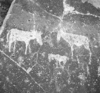 roth_brandberg_img_035544_thumb.gif