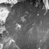 roth_brandberg_img_035546_thumb.gif