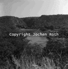 roth_kaoko_img_035283_thumb.gif