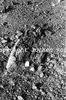 roth_kaoko_img_035363_thumb.gif