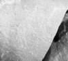 roth_brandberg_img_035549_thumb.gif