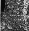 roth_brandberg_img_035159_thumb.gif
