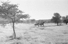 ONR_L-0977-47_30260_img_000260_thumb.gif