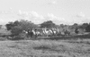 ONR_L-1280-51_30991_img_000991_thumb.gif