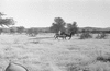 ONR_L-0977-47_30264_img_000264_thumb.gif