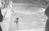 ONR_L-1270-51_30892_img_000892_thumb.gif