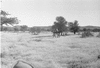 ONR_L-0977-47_30265_img_000265_thumb.gif