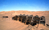 NAN_SLI_SCHOEDDER_img_042203_thumb.gif