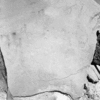roth_brandberg_img_035552_thumb.gif