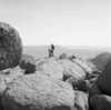 roth_brandberg_img_035553_thumb.gif