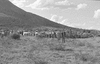 ONR_L-1280-51_30996_img_000996_thumb.gif