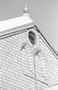NAN_NEG_SCHOEDDER_img_041180_thumb.gif