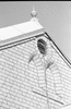 NAN_NEG_SCHOEDDER_img_041191_thumb.gif