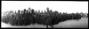 CHN_PAN_33350_img_033350_thumb.gif