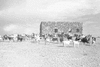 ONR_NEG_LUISENHO_img.037176_thumb.gif