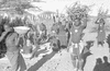 ONR_NEG_LUISENHO_img.037179_thumb.gif