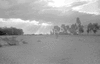 ONR_NEG_LUISENHO_img.037198_thumb.gif
