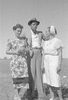 ONR_L-1146-49_30367_img_000367_thumb.gif