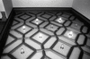 NAN_NEG_SCHOEDDER_img_042921_thumb.gif
