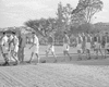 ONR_L-1154-49_30418_img_000418_thumb.gif